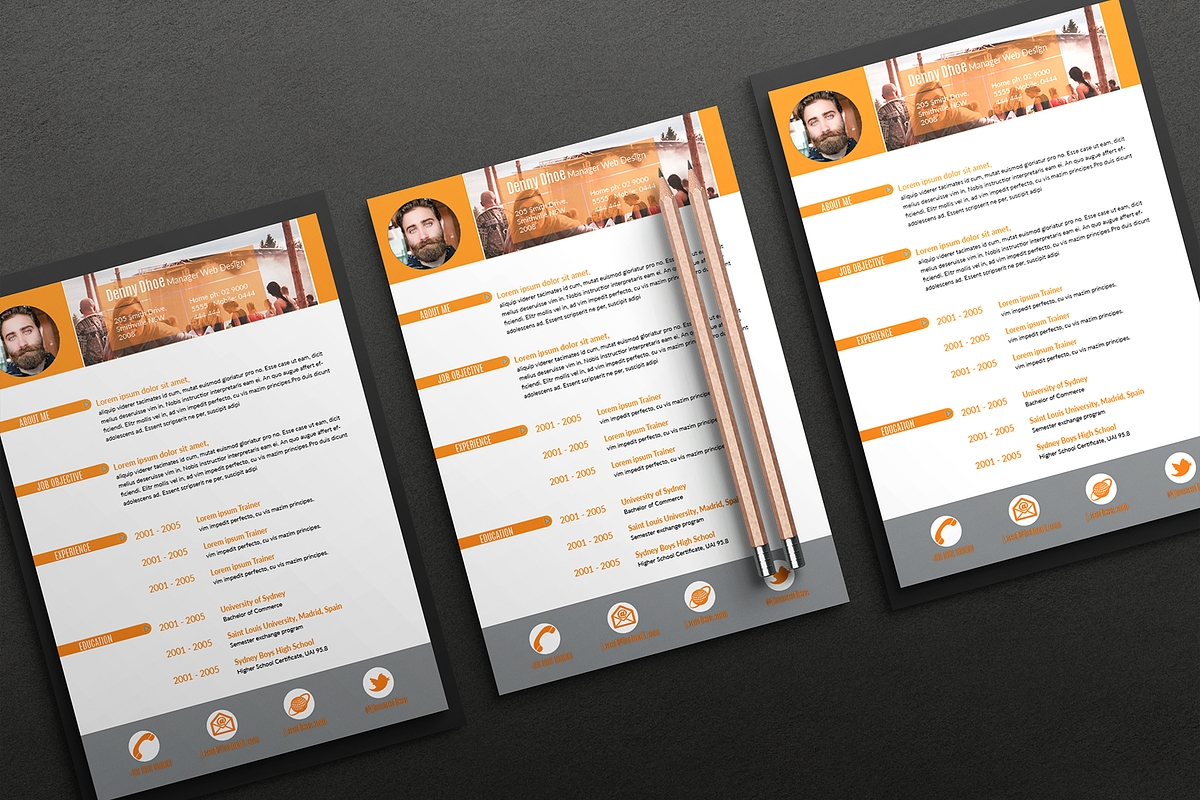 RESUME Part II, a Resume Template by jorse