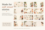 100 Botanical Beauty Backgrounds, a Background Graphic by liravega (Thumbnail 7 of 7)