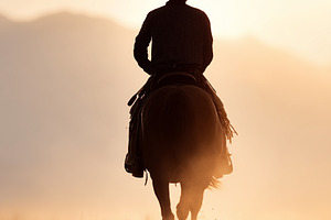Silhouette of a cowboy riding horse, an Animal Photo by MistyDay