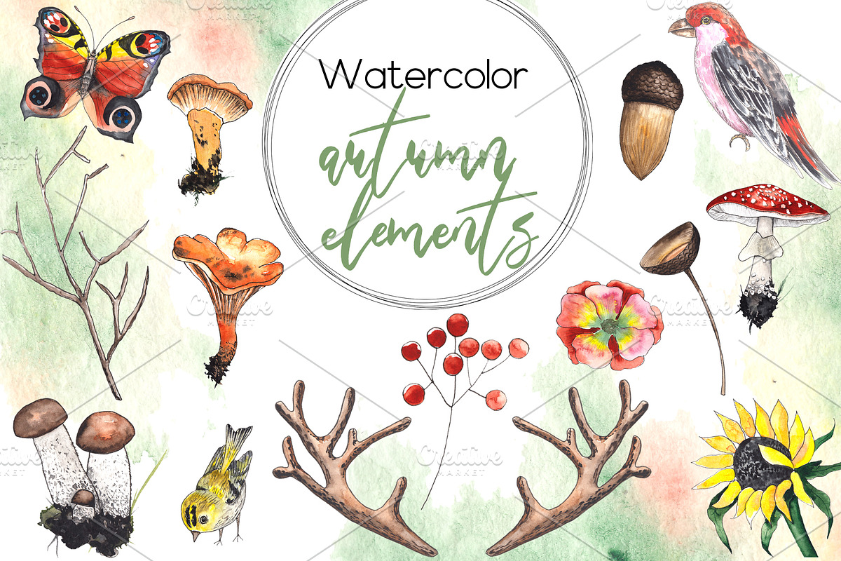 Autumn. Watercolor & graphic set, an Object Graphic by Ana-Sakuta (Photo 13 of 15)