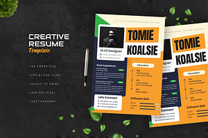 Creative Color Resume