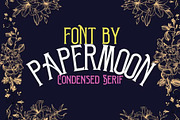 Victorian - Vintage Display Font, a Serif Font by GearShift (Thumbnail 2 of 4)