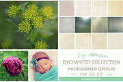Enchanted Overlay Collection Bundle, a Texture Graphic by lifenreflection (Thumbnail 2 of 2)
