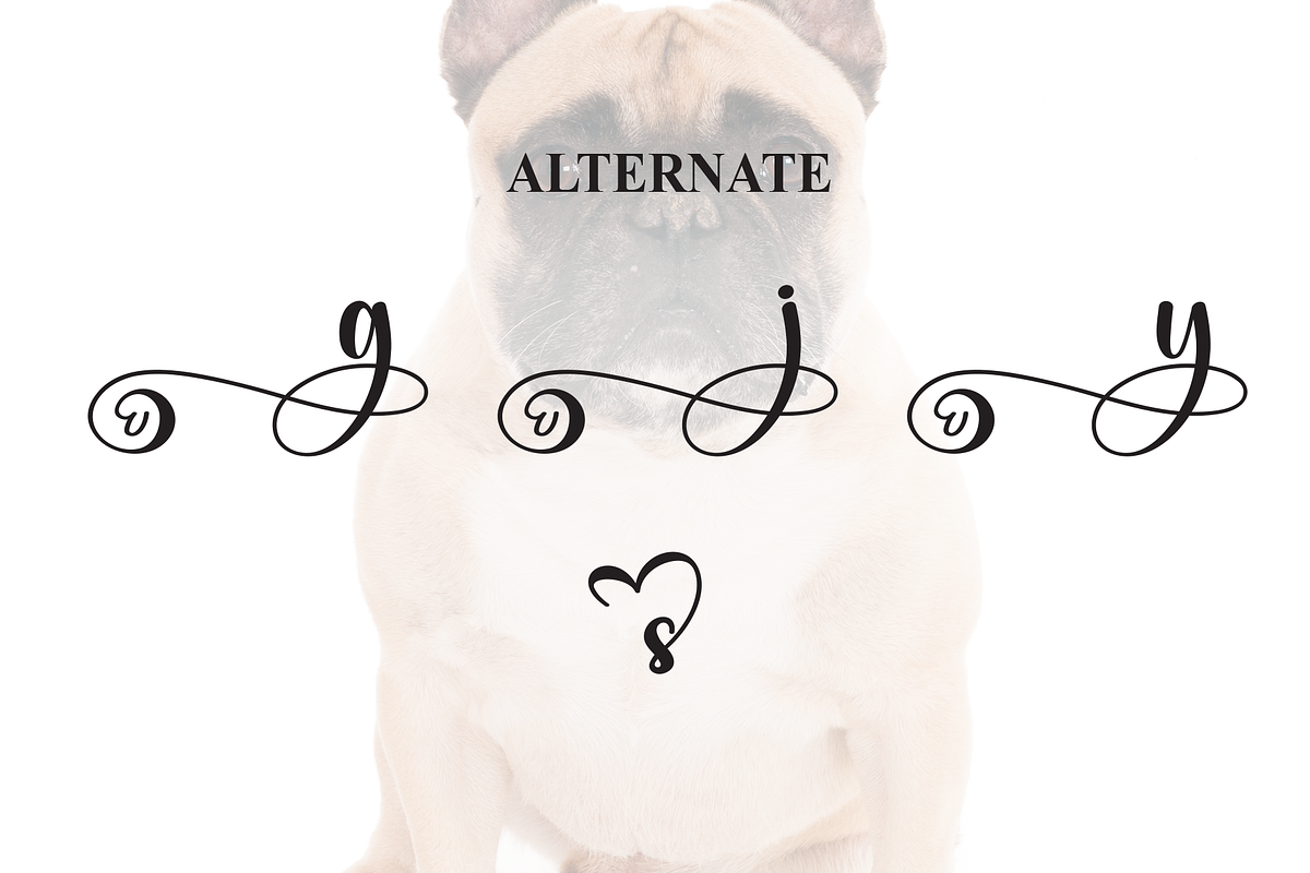 Bulldogs | Script Font, a Handwritten Font by Scratchones (Photo 8 of 9)