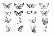 Photoshop Brush Watercolor Butterfly preview 2