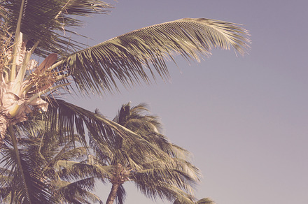 Sand Surf preview 5
