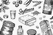 Soya beans. Tofu, nuts, Seeds draw, a Food Illustration by Arthur Balitskiy (Thumbnail 1 of 4)