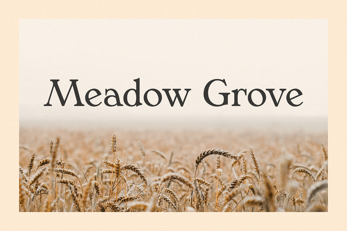 Phaedra // A Retro Serif Typeface, a Serif Font by Megs Lang (Photo 13 of 17)