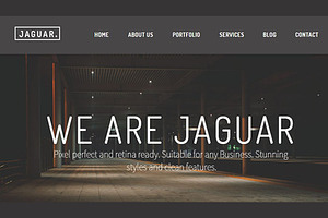 Jaguar I Multiple Demos I 50% Off