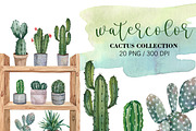Watercolor Cactus Clipart PNG, an Object Illustration by PatternPalette (Thumbnail 3 of 3)