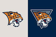 Tiger sport logotype., a Branding & Logo Template by Mister Chek (Thumbnail 2 of 3)