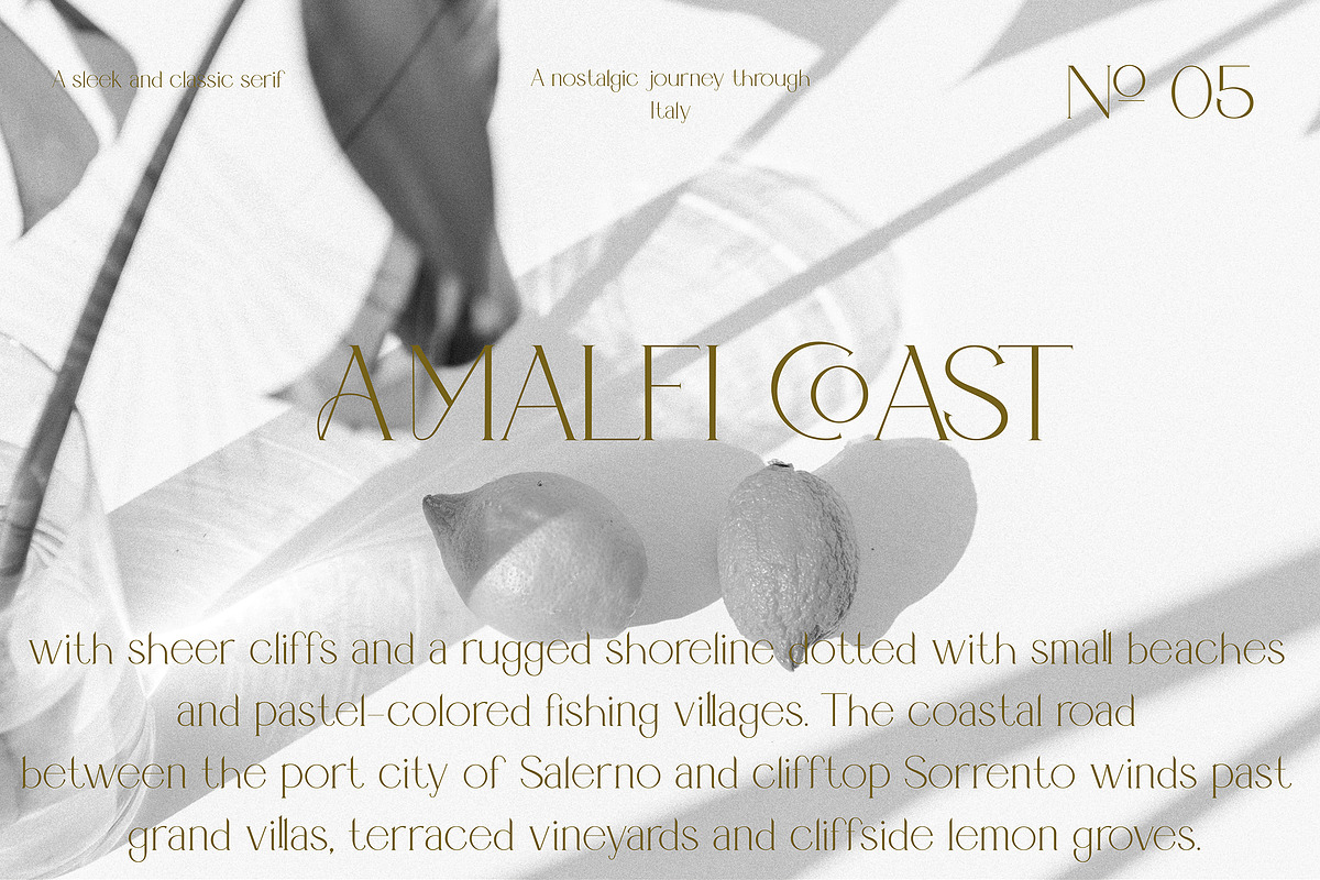 Portobello Display Ligature Font, a Serif Font by Laras Wonderland (Photo 2 of 15)