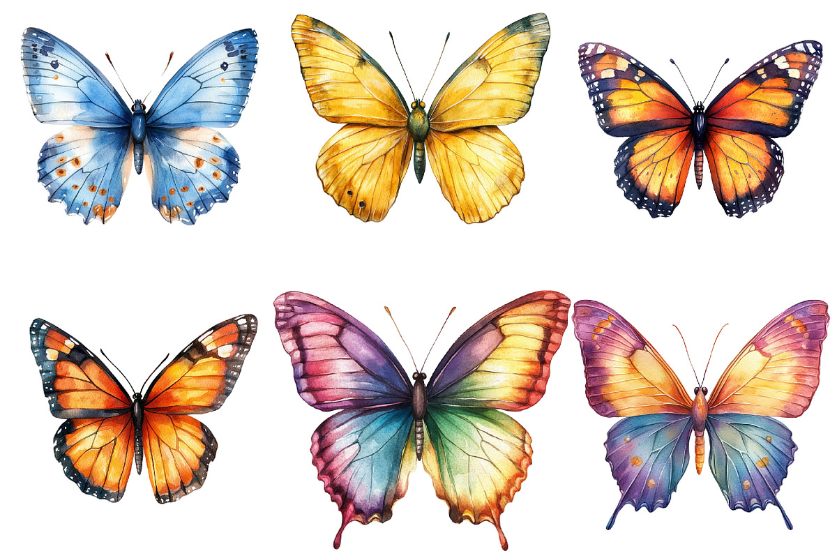 Watercolor Butterfly Clipart Png, an Illustration by cherrydesign (Photo 4 of 4)