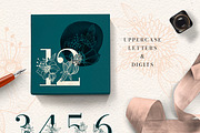 FINE LINE Floral Graphic Collection, a Decorative Illustration by Olga Begak Art & Design (Thumbnail 3 of 11)