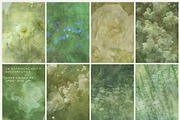 Flora Bundle - Floral Backgrounds, a Background Graphic by alonahaidash (Thumbnail 4 of 24)