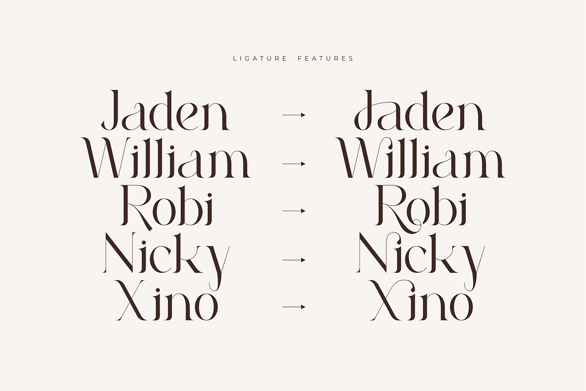 Roilra - Serif Ligature Font, a Serif Font by suhadidesign (Photo 9 of 13)
