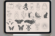 Wiccan Wicca Witchcraft Vol 3, a Brush Add-On by TaKong Magics (Thumbnail 2 of 4)