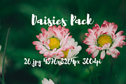 Daisies Pack, a Templates & Theme by ApertureVintage (Thumbnail 12 of 14)