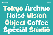 Koera - High Contrast Font Family, a Sans Serif Font by Pekotype (Thumbnail 5 of 15)