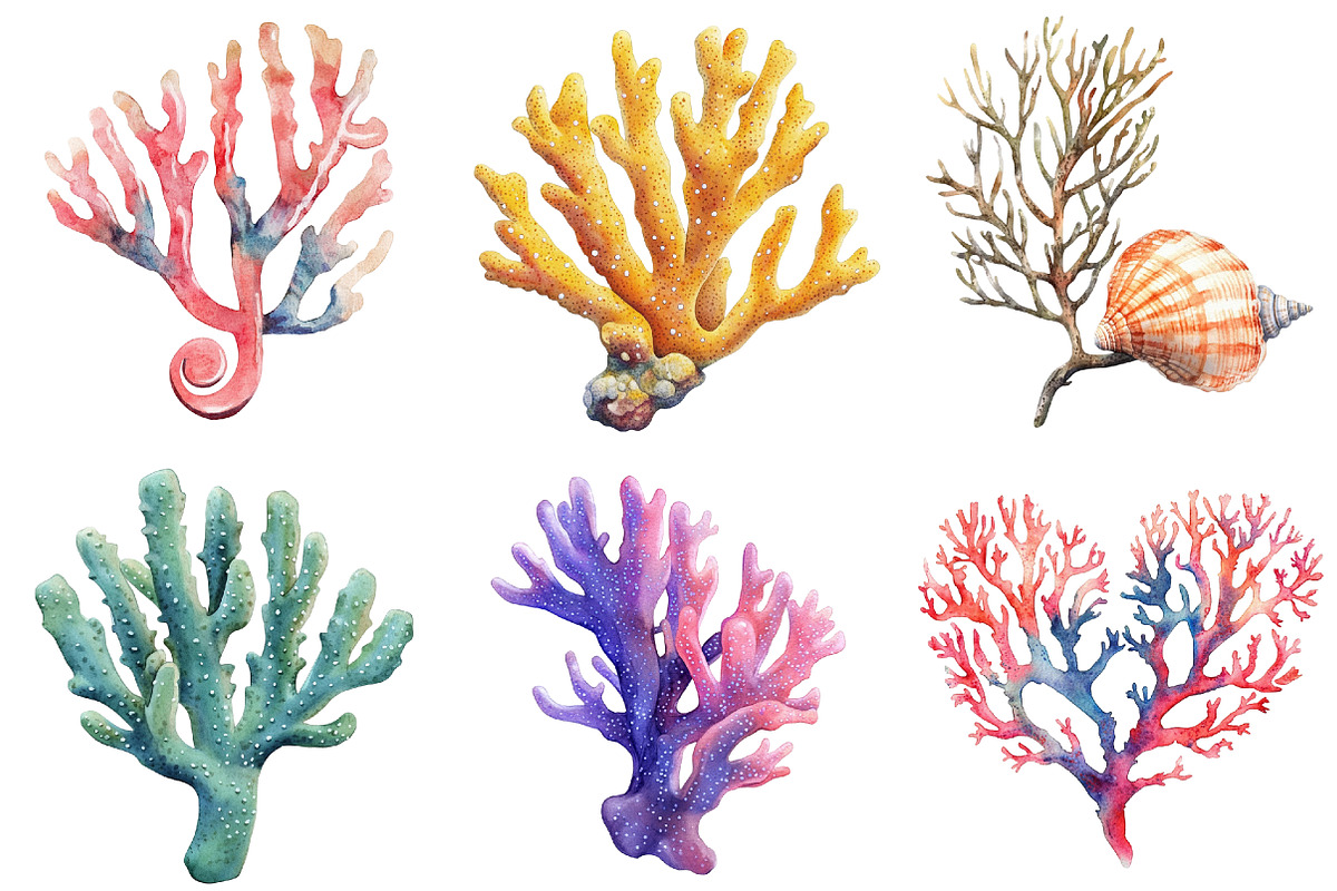 Coral Reef Clipart Bundle, an Illustration by Pixels.Craft (Photo 5 of 8)