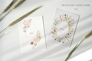 Watercolor Wheat & Field Flora, a Decorative Illustration by MayaNavits (Thumbnail 2 of 13)