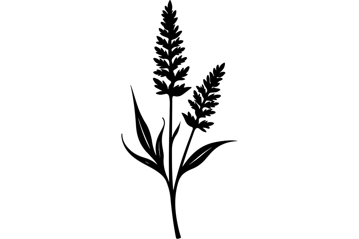 Decorative Tribal Feather Vector, an Object Graphic by Designer_Momina (Photo 3 of 18)