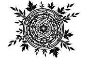 Round Floral Mandala Bundle, a Decorative Illustration by Designer_Momina (Thumbnail 6 of 19)