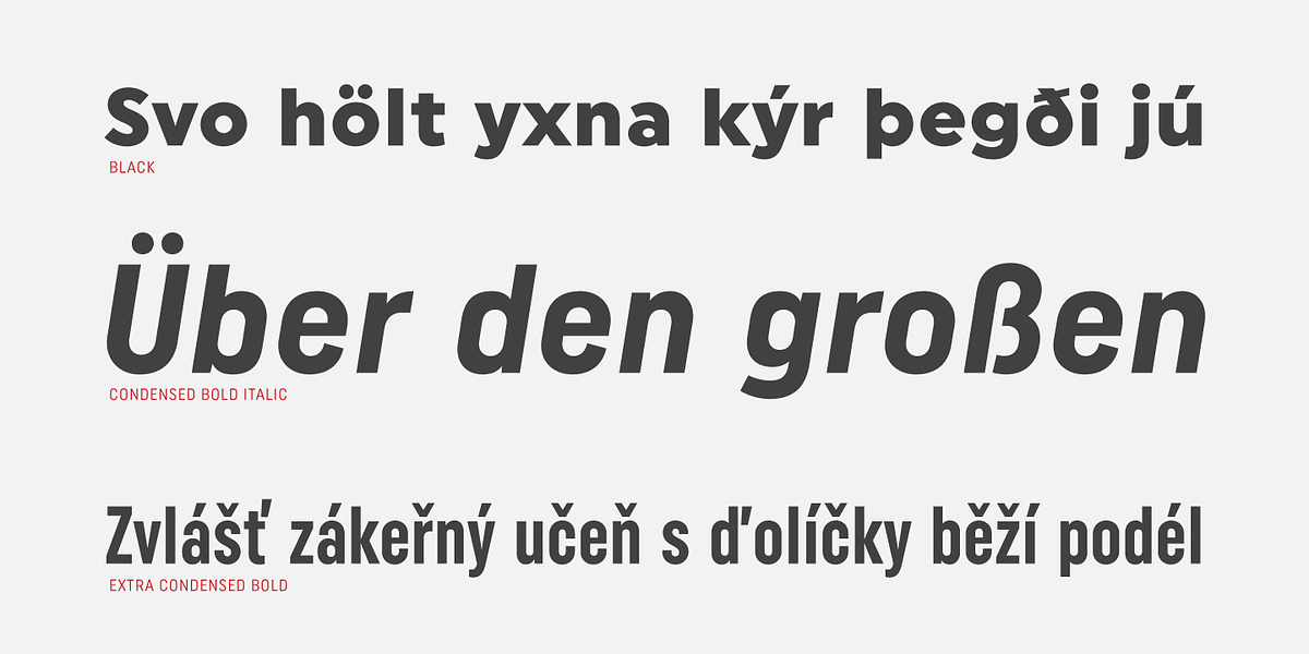 Uniform Pro, a Sans Serif Font by Miller Type Foundry (Photo 4 of 14)