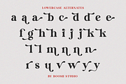 Baithe-Modern Retro Serif, a Serif Font by BOOSH Studio (Thumbnail 13 of 17)