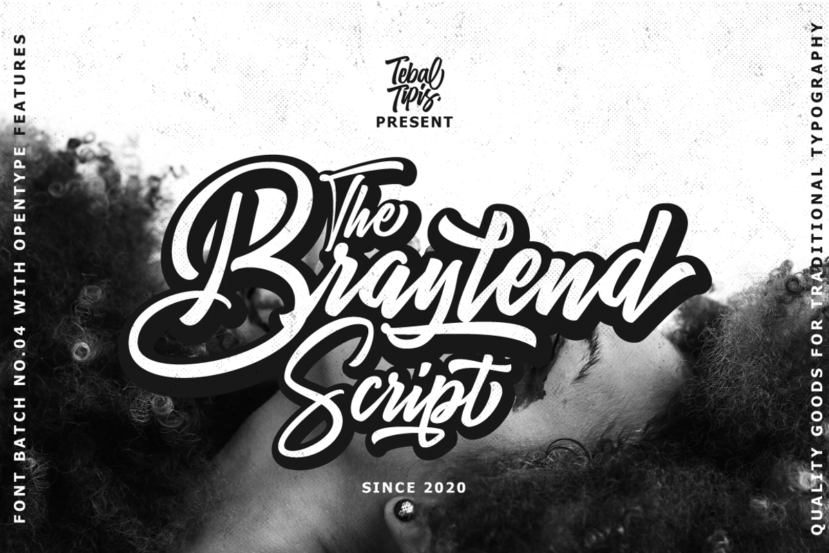 Braylend - Logotype Script, a Script Font by tebaltipislab (Photo 1 of 12)