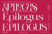Epilogus - Serif font family, a Serif Font by Artistic & Unique (Thumbnail 3 of 15)