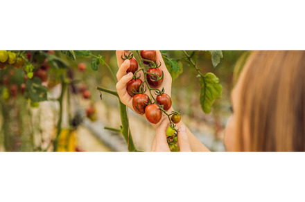 Woman and red cherry tomatoes on the, a Food & Drink Photo by Elizaveta Galitskaya