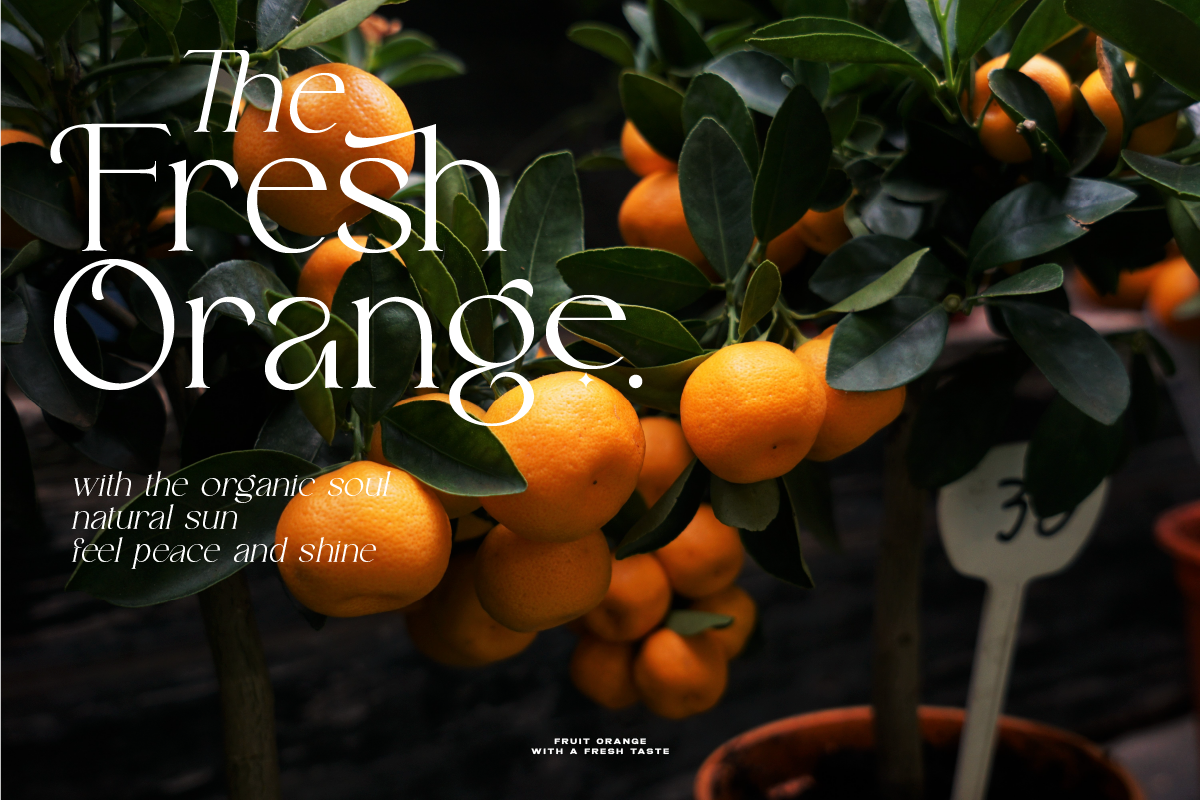 Robecha Daniera Beauty Elegant Serif, a Serif Font by Ronny Studio (Photo 9 of 18)