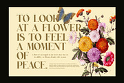 Regart Luxury Serif Font, a Serif Font by Perfectype (Thumbnail 5 of 8)