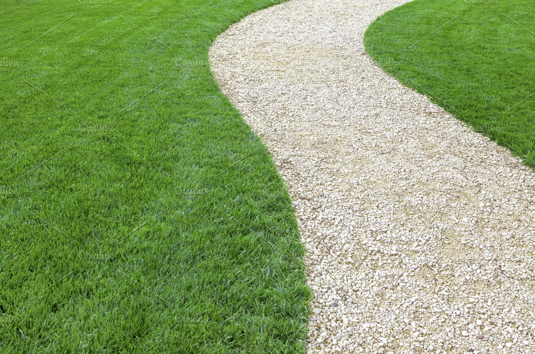 Garden stone path with green lawn, a Nature Photo by BOOCYS