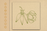 Ylang Ylang flower engraving style, a Healthcare Illustration by vectorartificer (Thumbnail 4 of 5)