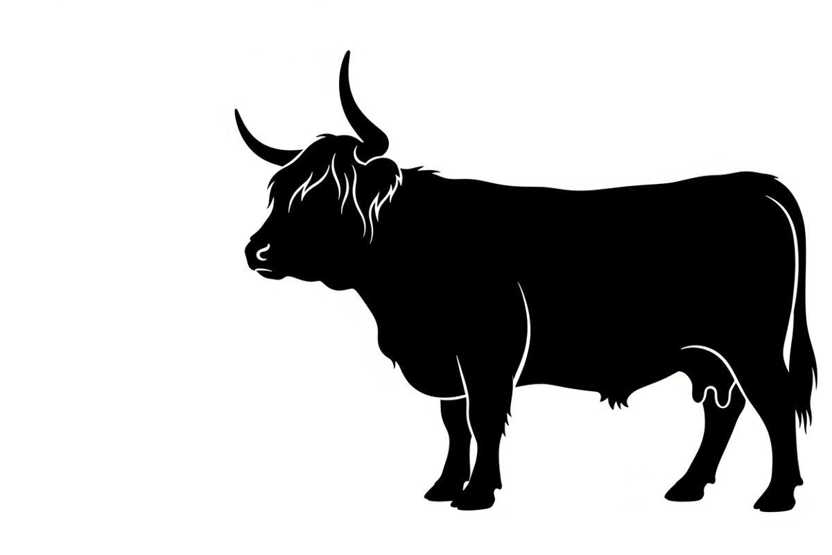 Rustic Highland cow wall art design, an Illustration by Amazin_art (Photo 28 of 40)