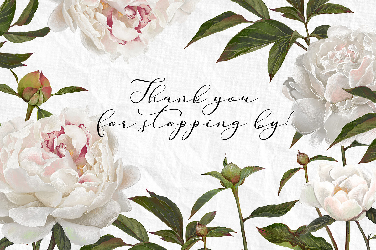Peonies. Spring flower collection., an Object Graphic by RushkinaAntonina (Photo 5 of 5)