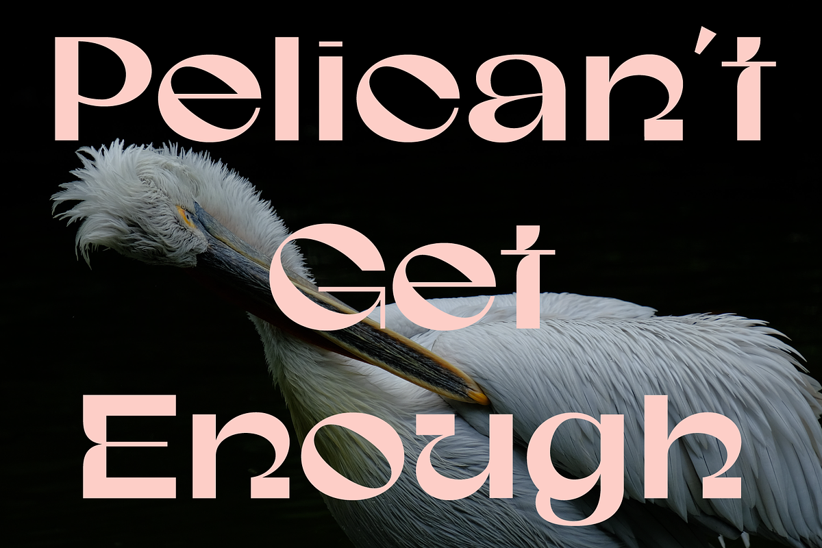 Gunter Display Font, a Sans Serif Font by That That Creative (Photo 14 of 20)