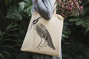 Hand Drawn Illustrations of Birds, an Animal Illustration by Franzi draws (Thumbnail 3 of 5)