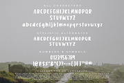 Billion Sunsets, a Script Font by Ditatype (Thumbnail 9 of 10)