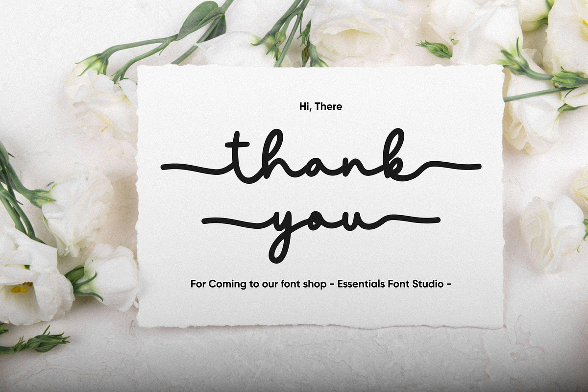 minadine, a Script Font by Essentials Studio (Photo 9 of 9)