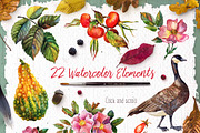 Watercolor Rosehip & Pumpkins Set, an Illustration by Fluffy Unicorn (Thumbnail 2 of 9)