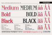 Enigmatica - Serif font family, a Serif Font by Artistic & Unique (Thumbnail 2 of 15)