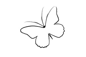 Butterfly with a brush line, an Animal Illustration by Nenahliadava Design