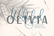 Slovenia, a Script Font by Garisman Std (Thumbnail 4 of 9)