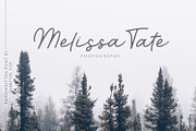 Walkway Font + Bonus Vector, a Script Font by sabrcreative (Thumbnail 2 of 11)