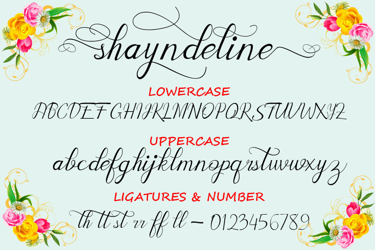 Shayndeline, a Script Font by TypeMakers (Photo 8 of 9)