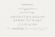 Lemontine Monoline Font, a Handwritten Font by Burhan Afif (Thumbnail 8 of 10)