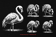 10 Bundle Dark Art Flamingo Bird, an Illustration by Morspective (Thumbnail 3 of 7)